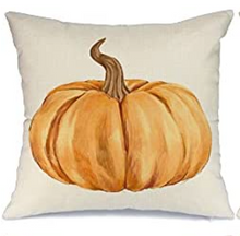 Load image into Gallery viewer, Orange Pumpkin Farmhouse Fall Pillow Cover