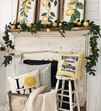 Load image into Gallery viewer, Market Fresh Lemons Yellow Plaid Summer Farmhouse Pillow Cover