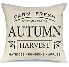 Load image into Gallery viewer, Farm Fresh Autumn Harvest Fall Farmhouse Pillow Cover