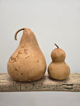 Load image into Gallery viewer, Dried 4 inch Bottle Gourd
