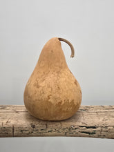 Load image into Gallery viewer, Dried 7 inch Martin Gourd
