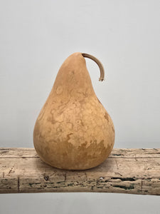 Dried 7 inch Martin Gourd