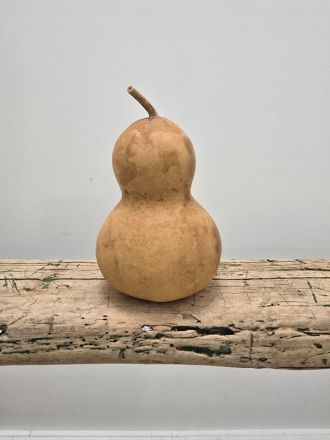 Dried 4 inch Bottle Gourd