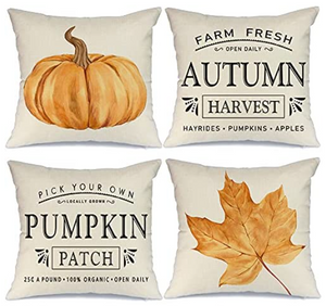 Orange Pumpkin Farmhouse Fall Pillow Cover