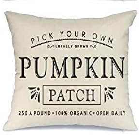 Pick Your Own Pumpkin Patch Fall Farmhouse Pillow Cover