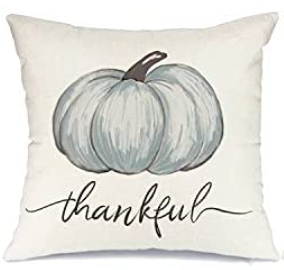 Thankful Pumpkin Fall Pillow Cover