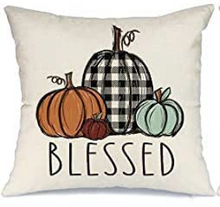 Load image into Gallery viewer, Blessed Pumpkins Fall Farmhouse Pillow Cover
