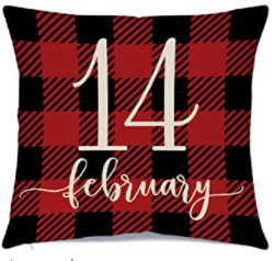 Valentine's day pillow covers 2025