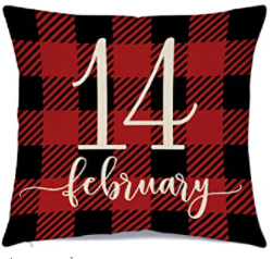 February 14th Plaid Valentine's Day Pillow Cover